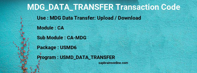 SAP MDG_DATA_TRANSFER transaction code