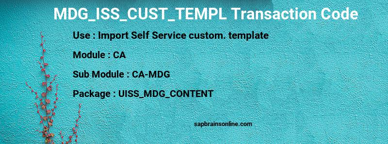 SAP MDG_ISS_CUST_TEMPL transaction code