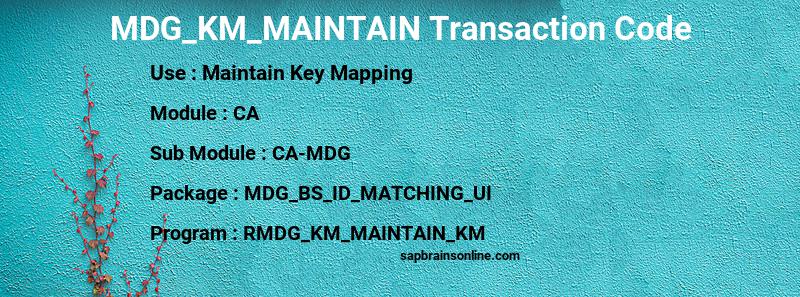 SAP MDG_KM_MAINTAIN transaction code