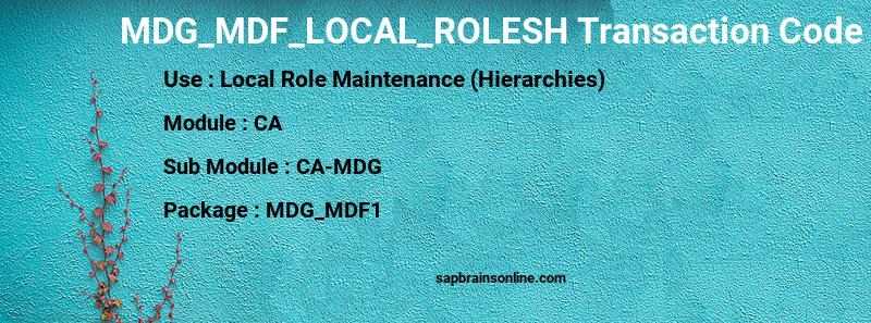 SAP MDG_MDF_LOCAL_ROLESH transaction code