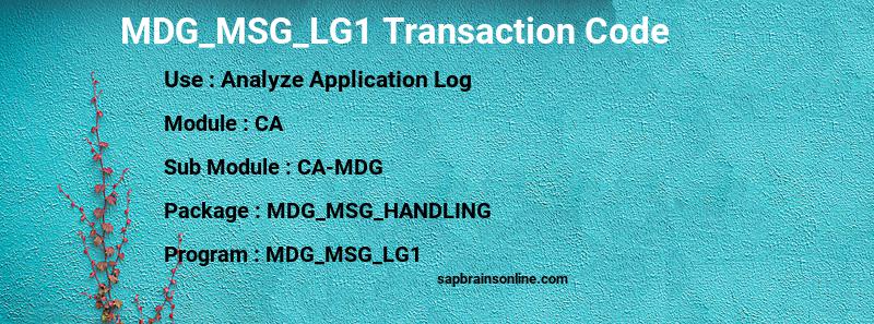 SAP MDG_MSG_LG1 transaction code