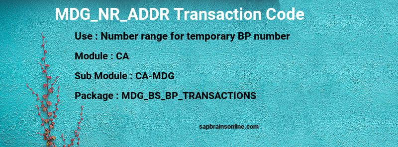 SAP MDG_NR_ADDR transaction code