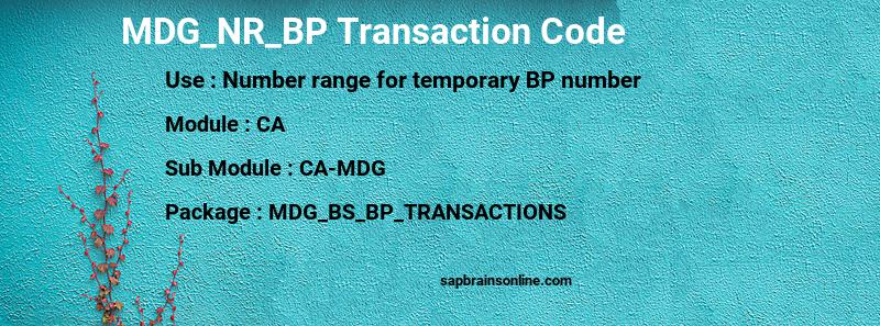 SAP MDG_NR_BP transaction code