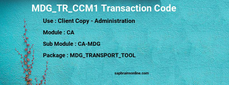 SAP MDG_TR_CCM1 transaction code