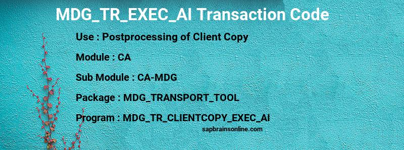 SAP MDG_TR_EXEC_AI transaction code