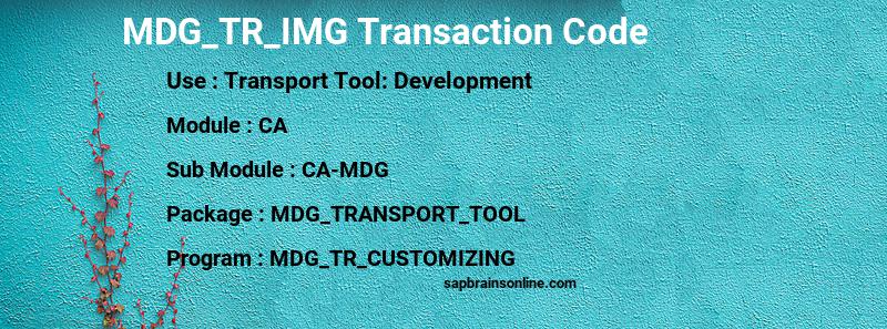 SAP MDG_TR_IMG transaction code