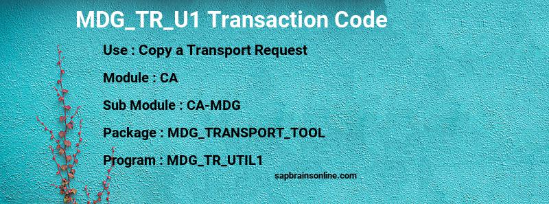 SAP MDG_TR_U1 transaction code