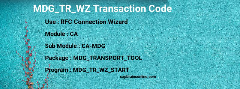 SAP MDG_TR_WZ transaction code