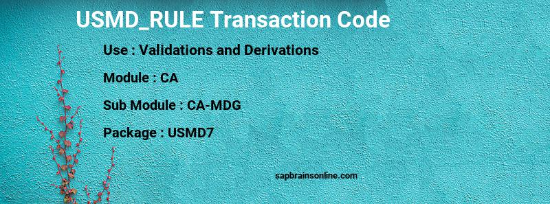 SAP USMD_RULE transaction code