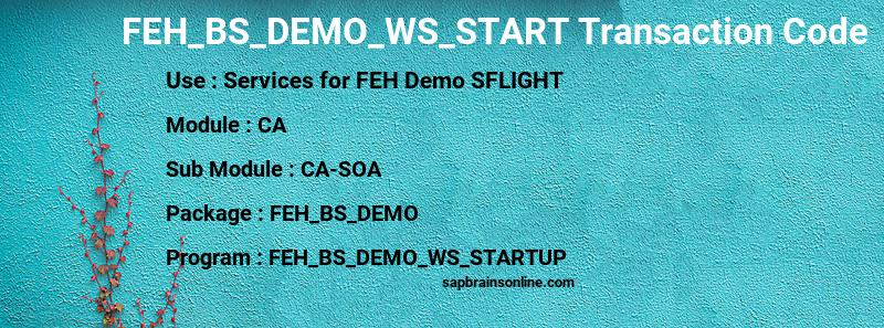 SAP FEH_BS_DEMO_WS_START transaction code