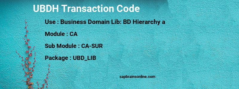 SAP UBDH transaction code