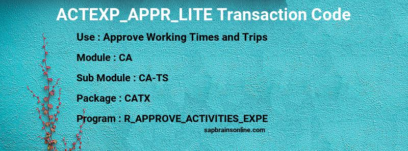 SAP ACTEXP_APPR_LITE transaction code