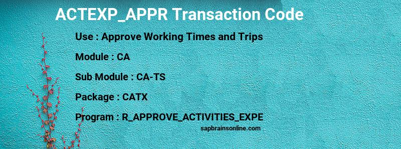 SAP ACTEXP_APPR transaction code