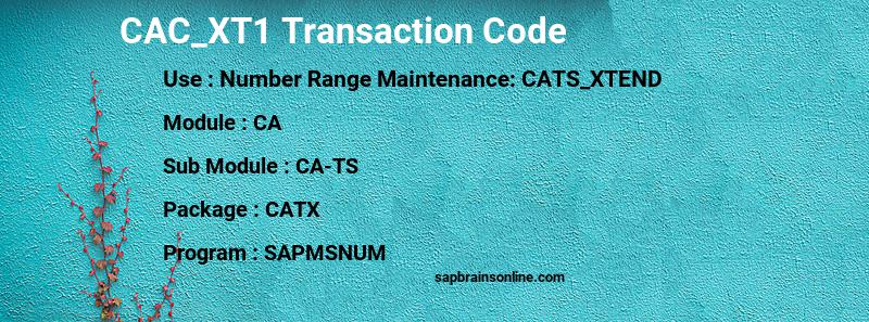 SAP CAC_XT1 transaction code