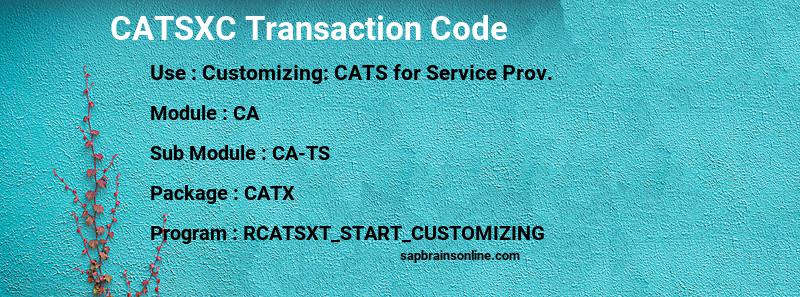 SAP CATSXC transaction code