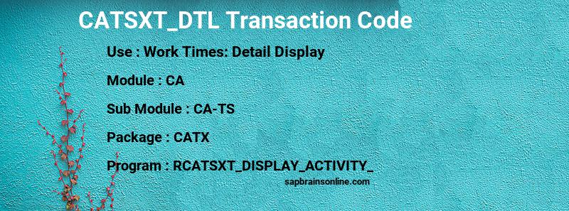 SAP CATSXT_DTL transaction code