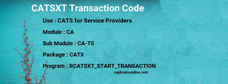 SAP CATSXT transaction code
