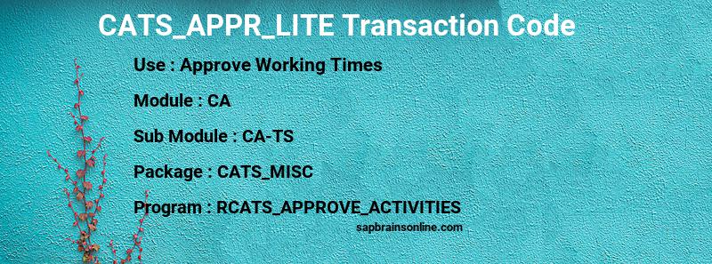 SAP CATS_APPR_LITE transaction code
