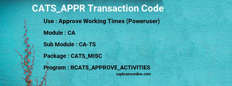 SAP CATS_APPR transaction code