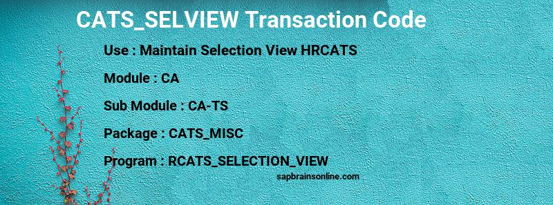 SAP CATS_SELVIEW transaction code