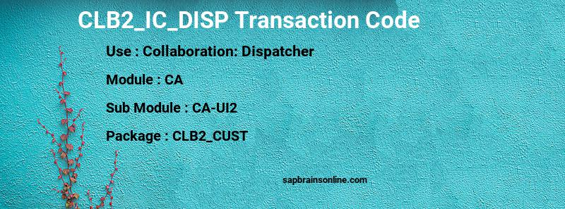 SAP CLB2_IC_DISP transaction code