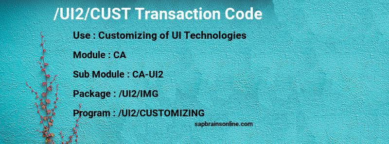 SAP /UI2/CUST transaction code