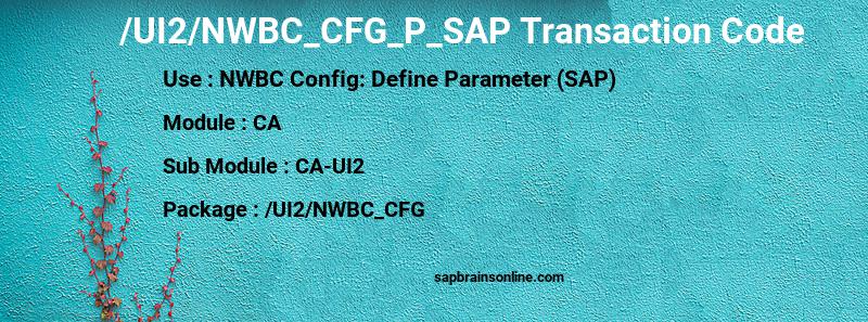 SAP /UI2/NWBC_CFG_P_SAP transaction code