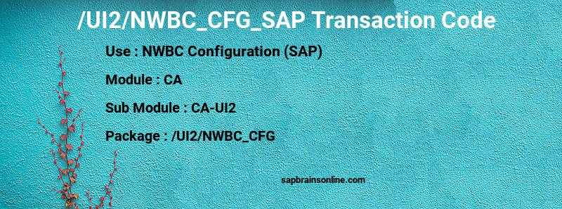 SAP /UI2/NWBC_CFG_SAP transaction code