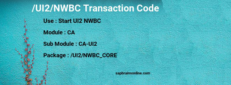 SAP /UI2/NWBC transaction code