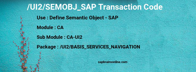SAP /UI2/SEMOBJ_SAP transaction code