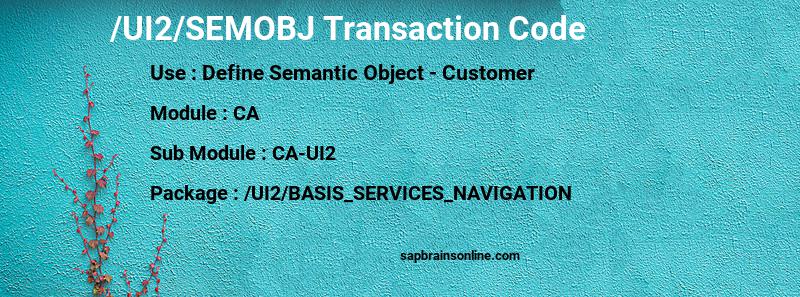 SAP /UI2/SEMOBJ transaction code