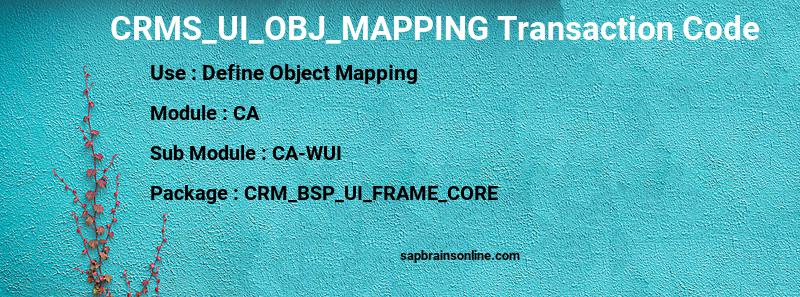 SAP CRMS_UI_OBJ_MAPPING transaction code