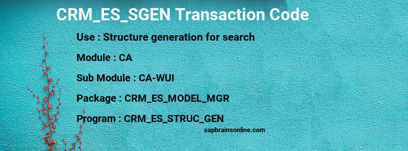 SAP CRM_ES_SGEN transaction code