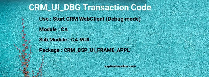 SAP CRM_UI_DBG transaction code