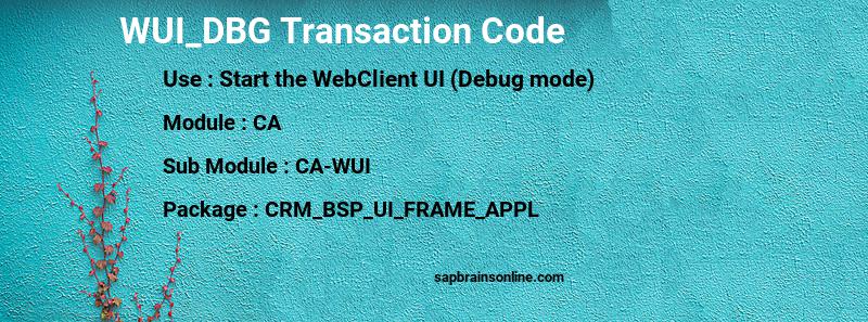 SAP WUI_DBG transaction code