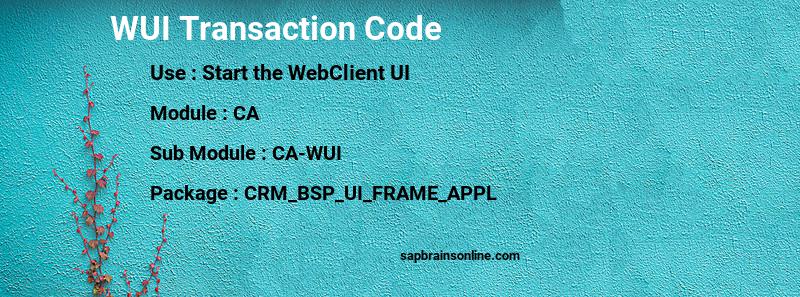 SAP WUI transaction code