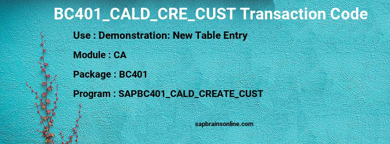 SAP BC401_CALD_CRE_CUST transaction code