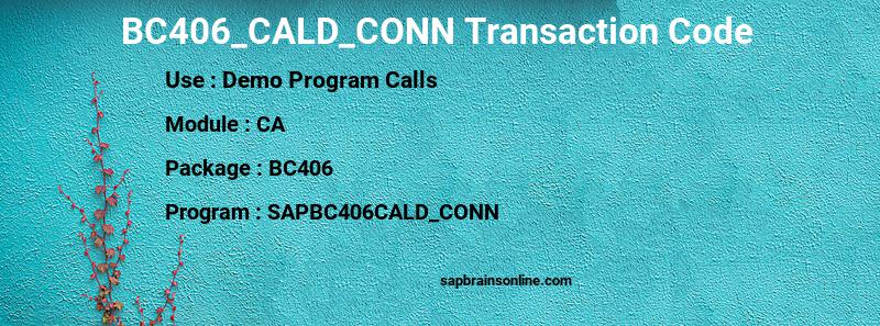 SAP BC406_CALD_CONN transaction code