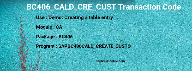 SAP BC406_CALD_CRE_CUST transaction code