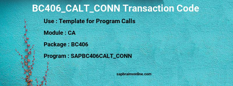 SAP BC406_CALT_CONN transaction code
