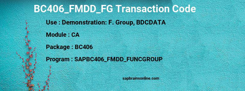 SAP BC406_FMDD_FG transaction code