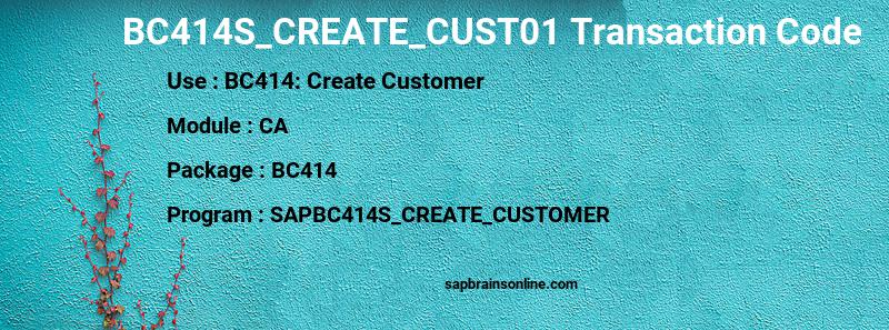 SAP BC414S_CREATE_CUST01 transaction code