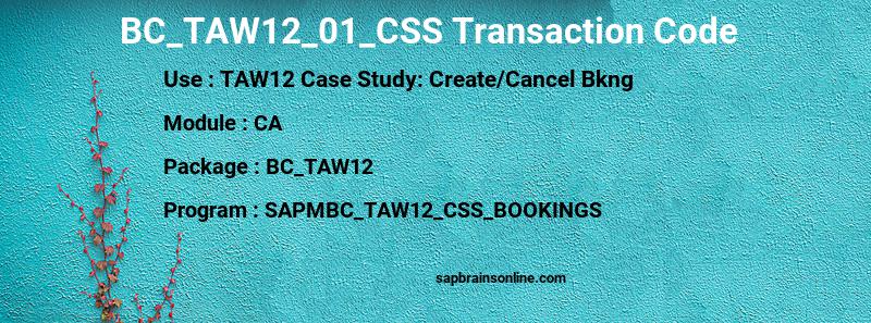 SAP BC_TAW12_01_CSS transaction code