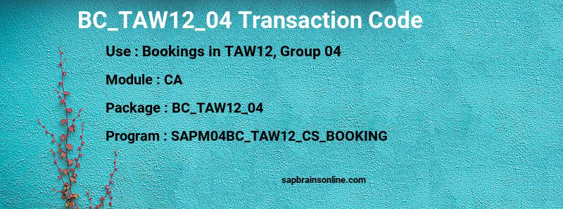SAP BC_TAW12_04 transaction code