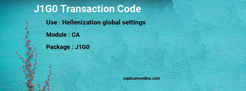 SAP J1G0 transaction code