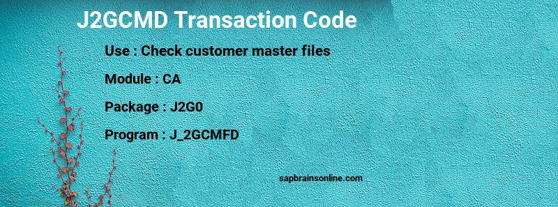 SAP J2GCMD transaction code
