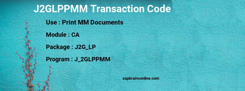 SAP J2GLPPMM transaction code