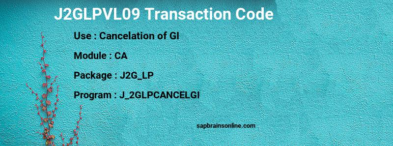 SAP J2GLPVL09 transaction code