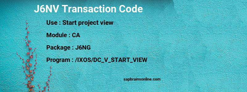 SAP J6NV transaction code