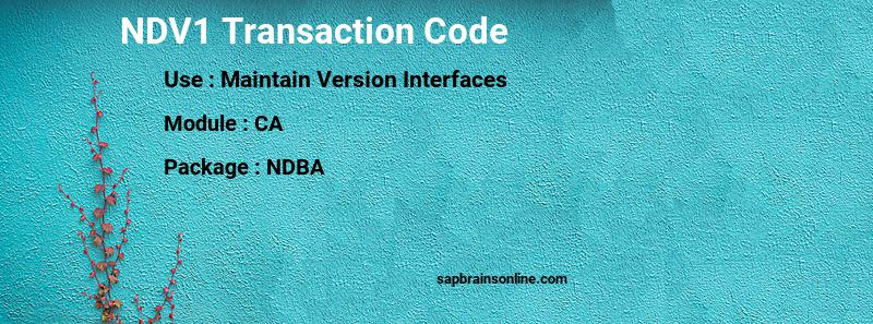 SAP NDV1 transaction code